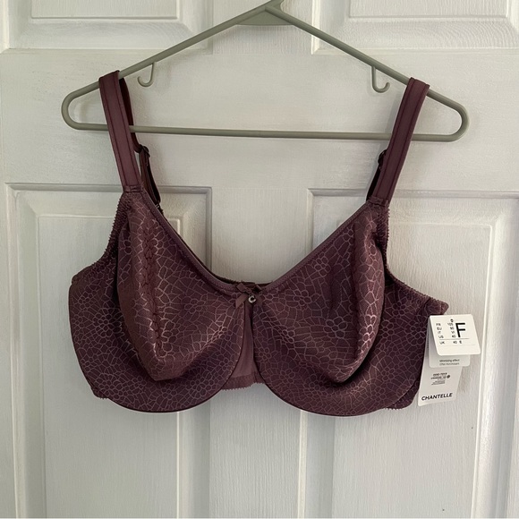 Chantelle Other - NWT Chantelle c magnifique minimizer bra purple 40F